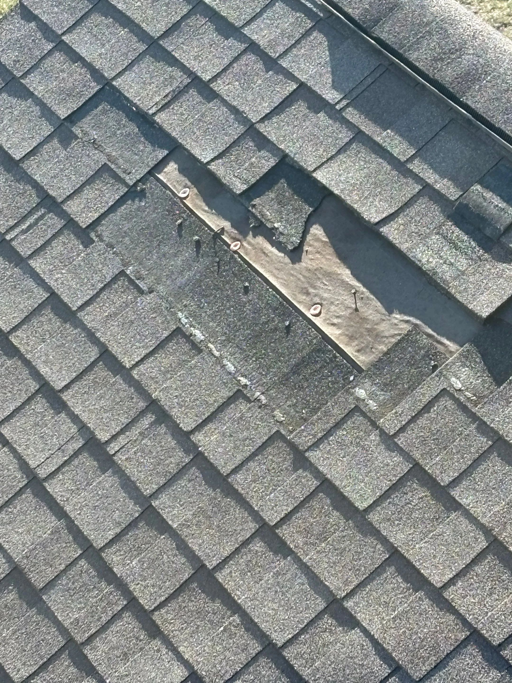 Water Damage Company Near Me: How to Choose in Lizton
